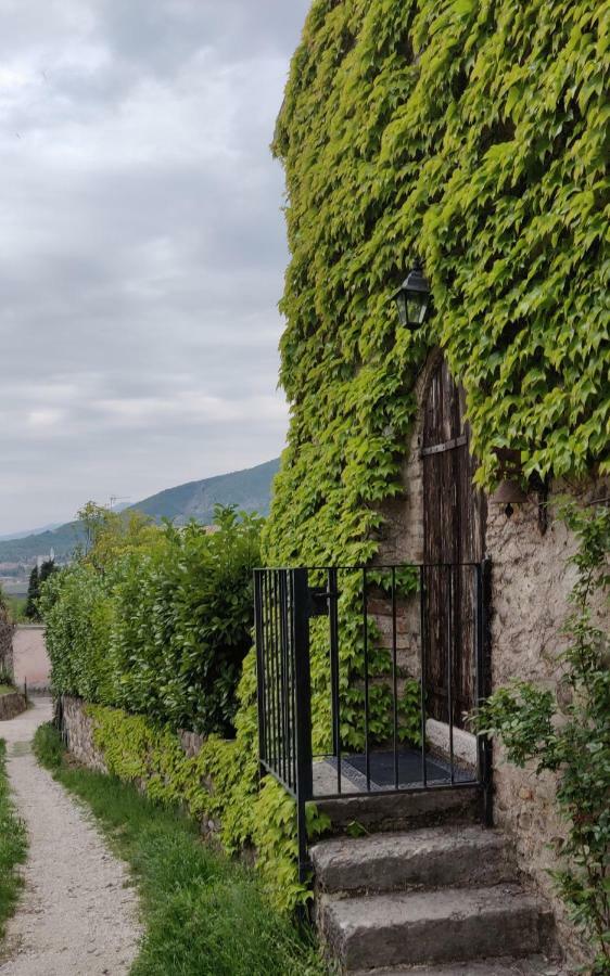 Giardino Degli Ulivi Apartment Каприно Веронезе Екстериор снимка